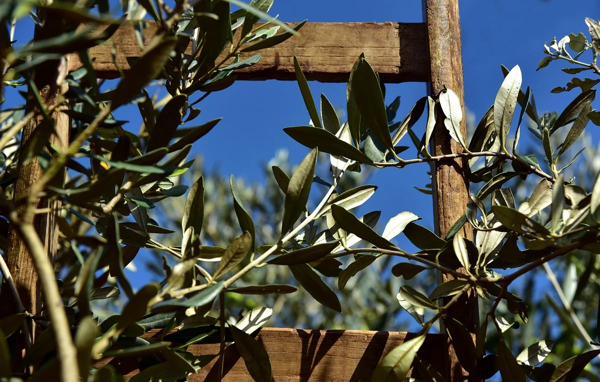 Boostez votre entreprise en 2026 : stratégies de fidélisation client pour augmenter la rétention